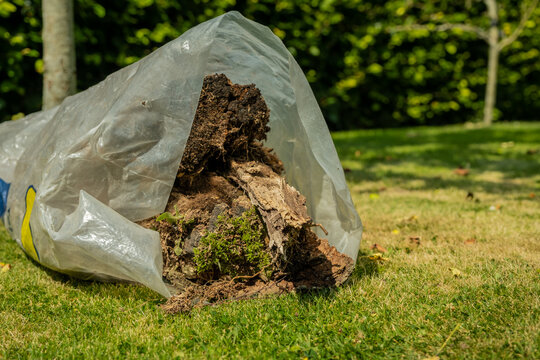 A Plastic Bag Of Garden Waste Including Tree Bark And Vegetation, Lying On Grass