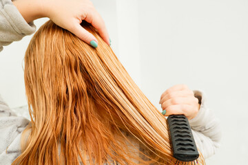 Fototapeta premium A blonde woman tries to comb her tangled hair with a comb after bathing. Blond red combing wet and tangled hair.