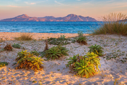 Sandstrand mit Disteln auf der griechischen Insel Kos mit Blick zum t&uuml;rkischen Festland