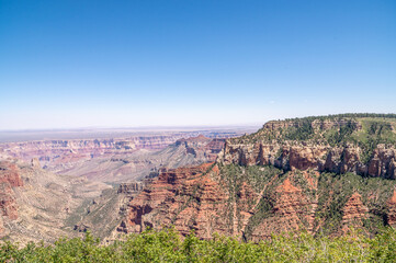 Grand Canyon on a Summer Day in Arizona at the North Rim