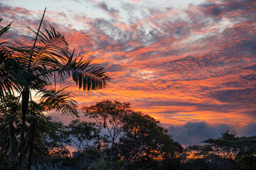 Sunset at Amacayacu natural national park, Amazon, colombia