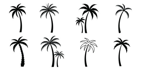 Fototapeta na wymiar palm tree silhouettes