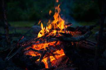bright red flame of a campfire in the forests of Altai