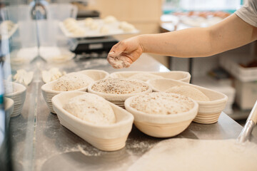 Baker woman sprinkles flour on the shaped loaves, rustic style, bread before baking, rustic whole grain bread.