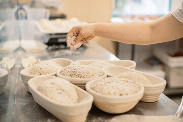 Baker woman sprinkles flour on the shaped loaves, rustic style, bread before baking, rustic whole grain bread.