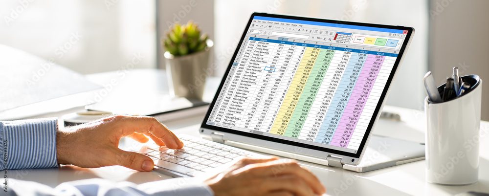 Aufkleber electronic spreadsheet analyst or auditor using software