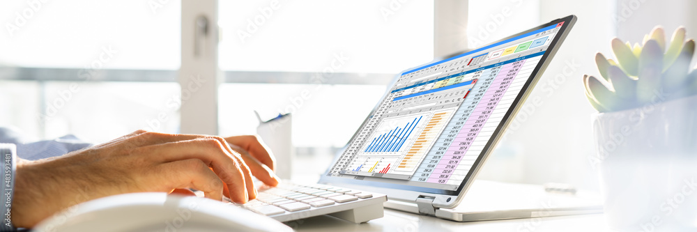 Poster Electronic Spreadsheet Analyst Or Auditor Using Software
