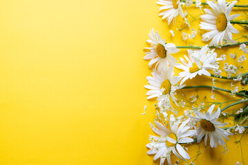 Flowers composition. Chamomile flowers on yellow background. Spring, summer concept. top view, copy...