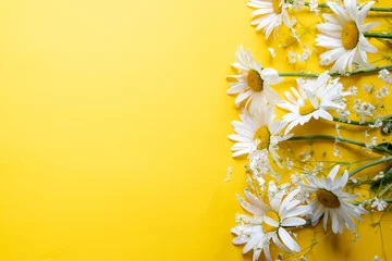 Fotobehang Madeliefje Flowers composition. Chamomile flowers on yellow background. Spring, summer concept. top view, copy space  © Ivanna Pavliuk