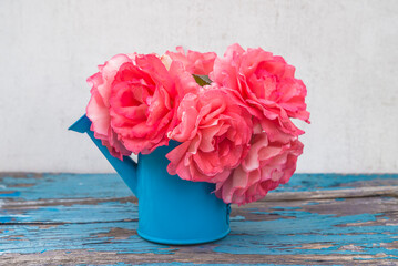 Holiday and celebration concept; Bouquet of pink roses in blue watering can on rustic background