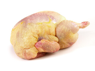Raw whole Quail isolated on white Background