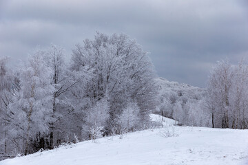 The Carpathian mountains and forest are covered with magical frost and snow. Dreamy view of the fairy-tale woodland. Magical wintry scene. Alpine ski resort. Perfect winter wallpapers. Beauty earth.