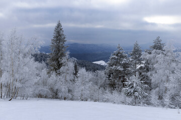 The Carpathian mountains and forest are covered with magical frost and snow. Dreamy view of the...