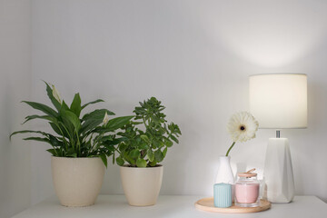 house plants and modern lamp on white shelf