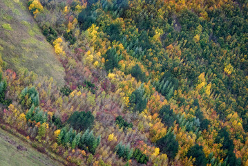 Obraz premium vue aérienne de la forêt à l'automne près de Bannières-sur-Seine dans les Yvelines en France