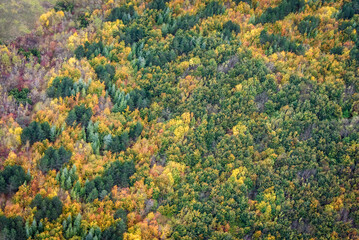 Obraz premium vue aérienne de la forêt à l'automne près de Bannières-sur-Seine dans les Yvelines en France