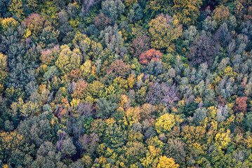 vue aérienne de la forêt à l'automne près de Lommoye dans les Yvelines en France