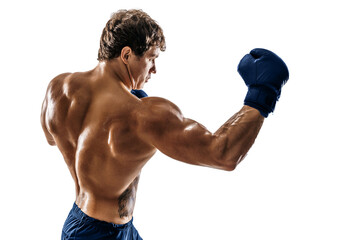 Side view of boxer in gloves who training and practicing uppercut on white background. sport concept