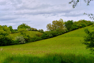 Landschaft im Naturschutzgebiet Hohe Wann zwischen Zeil am Main und Krum, Landkreis Hassberge, Unterfranken, Franken, Bayern, Deutschland