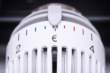 Close up of  Thermostat of an heating radiator with Euro symbol, rising costs for heat and energy concept.
