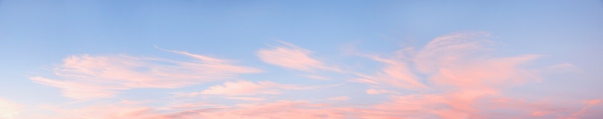 Naklejka na ściany i meble wide sky panorama with fluffy light pink cirrus clouds at sunset