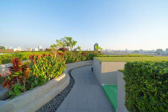 Sky garden on private rooftop of condominium or hotel, high rise architecture building with tree, grass field, and blue sky.