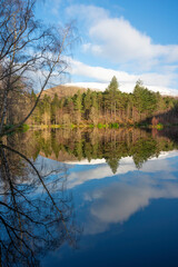Glencoe lochan in Scottish Highlands in winter. Mirror reflection of trees, blue sky and forest in water. No people.