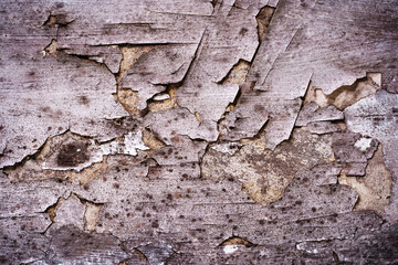 Fungus on the wall. Black mold on plaster surface. Peeling paint due to moisture and bacteria. flat frame