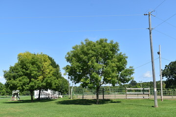 Polk County Fairgrounds