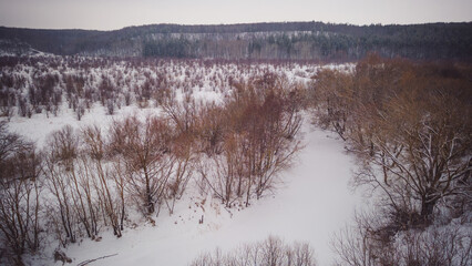 winter wildlife in the Russian federation