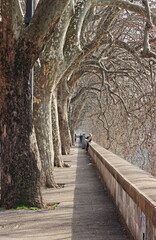 Lungotevere di Roma