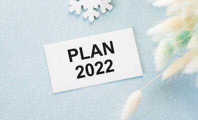 Fototapeta na wymiar Plan 2022 text on a white card on a blue background next to a snowflake and fluffy branches of dried flower