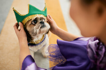 Close-up of woman puts a crown on dog's head while preparing for Mardi Gras carnival. © Drazen