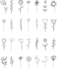 Vector elements. Set of plants and flowers. Outline sketched style.