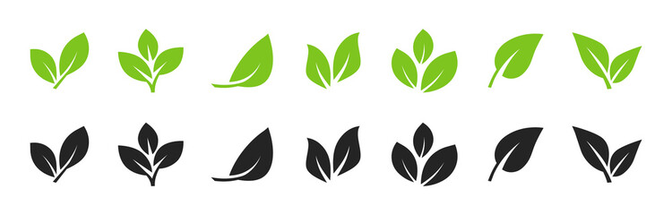 Set of leaf icons. Leaves icon. Leaves of trees and plants. Collection green leaf. Elements design for natural, eco, bio, vegan labels. Vector illustration.