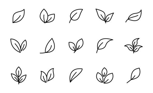 Set of line leaf icons. Leaves icon. Leaves of trees and plants. Collection green leaf. Elements design for natural, eco, bio, vegan labels. Vector illustration.