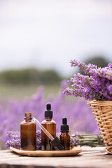 Amber essential lavender oil bottle. Violet lavendar field in Provence. - obrazy, fototapety, plakaty