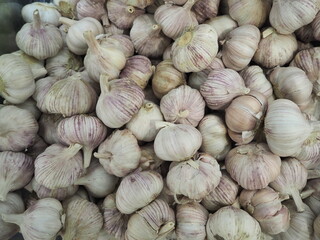 Garlic. Heads of garlic, full frame. High quality photo