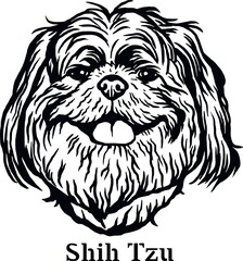 Shih Tzu - Funny Dog, Vector File, Cut Stencil for Tshirt
