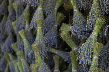 Harvesting season. Lavender bouquets and basket.