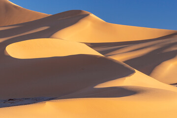 Fototapeta na wymiar Algerian Sahara sand dune, shape, shades and light.