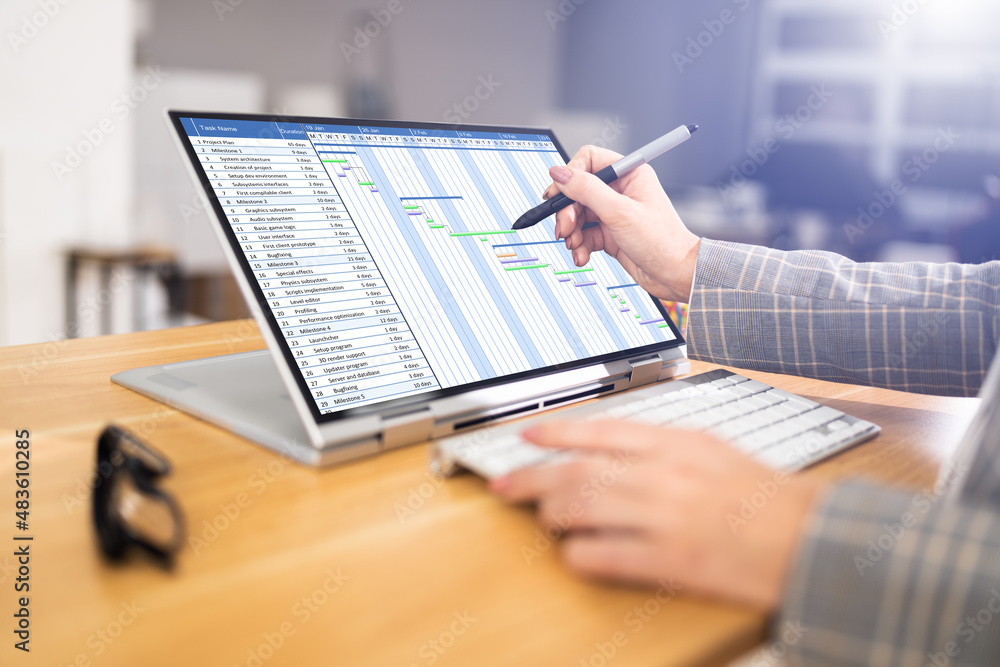 Poster gantt gantt software project