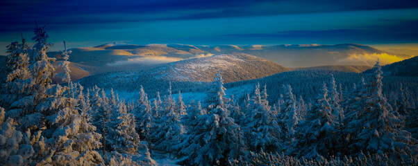 Snow, rime and spruce trees on a mountain range of Jesenniky mountains . Scenic view, scenic landscape. .