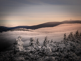 Scenic landscape with a view from a mounatin range to the valley filled with low clouds and fog during temperature inversion, snow,rime,clouds,sunlight,spruce trees. Jeseniky mountains.Czech republic.
