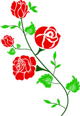 Rose on branch on white background. Isolated floral elements. Red flower and green leaves
