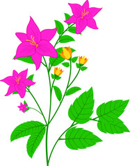 pink flowers and leaves scattered on white background