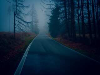 Fototapeta premium Asphalt road during foggy conditions, bad weather, fog, line, trees, autumn gloomy landscape. .