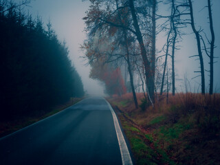 Asphalt road during foggy conditions, bad weather, fog, line, trees, autumn gloomy landscape. .