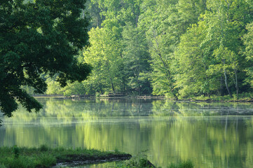Peaceful wooded lake and shore, early morning