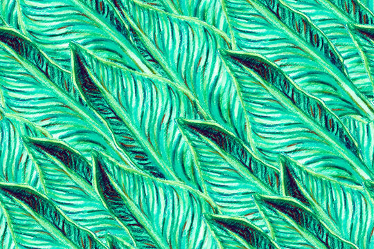 Bird of Paradise Seamless Pattern for Swimwear. Teal Green Tropical Leaf Background. Large Polynesia Floral Print. Strelitzia Feminine Exotic Design.  Bird-of-Paradise Spring-Summer Tile